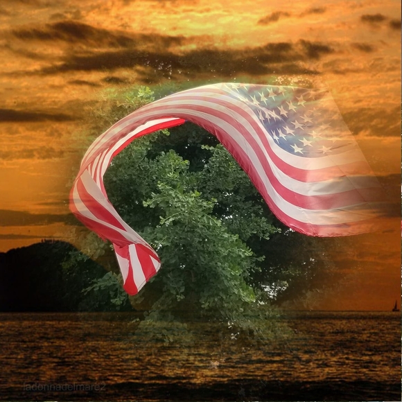 Meet your Posher, Lucy - Picture 1 of 1